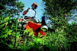 Garden Maintenance, Vienna - thumbnail 4