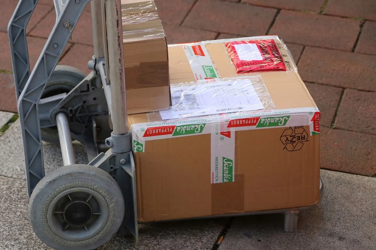 Courier Service, Kathmandu