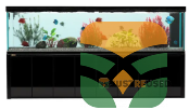 Small Glass Aquarium for Betta & Goldfish