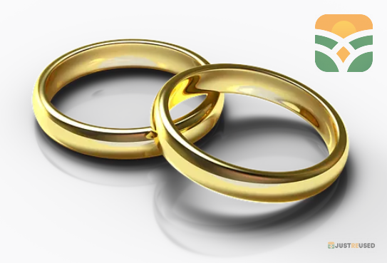 Classic Gold Beauty Jewellery